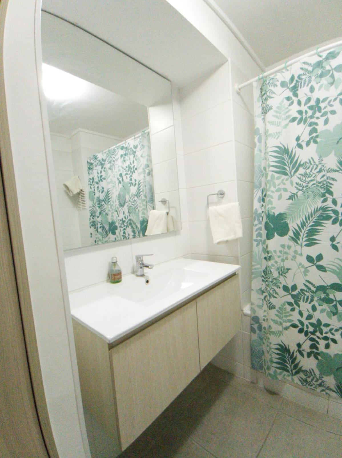 Apartamento Departamento Acogedor En El Corazon De La Ciudad, De 2 - 2 Banos Ducha Santiago
